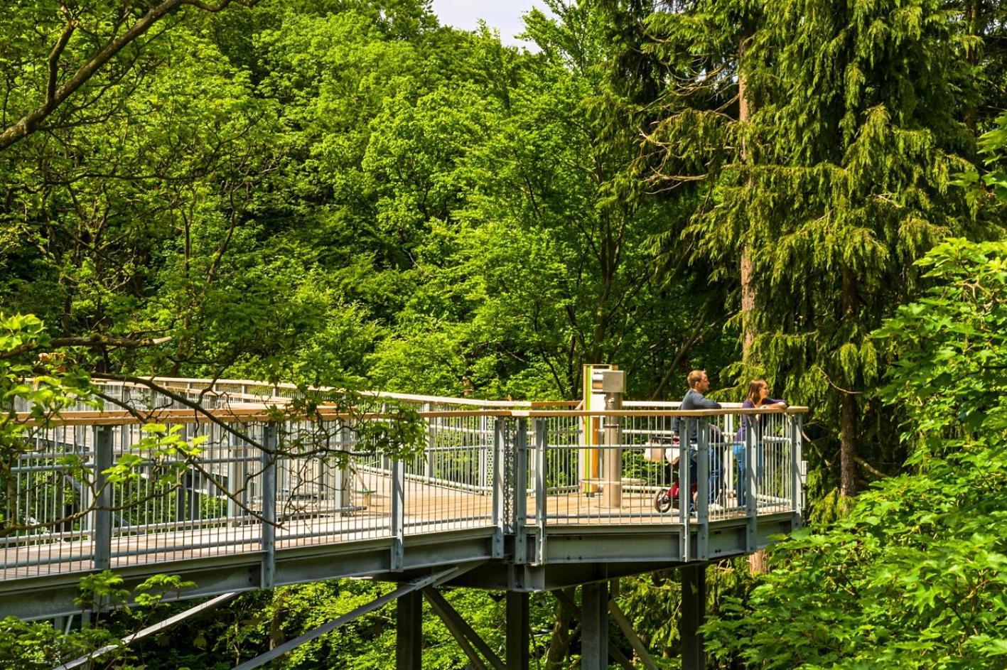 Regiohotel Germania Am Kurpark Bad Harzburg Exterior foto